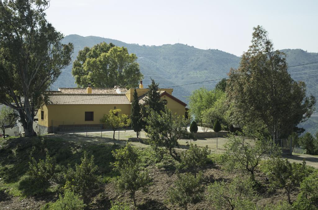Вилла Rural Montes Malaga: Lagar Don Sancho Номер фото